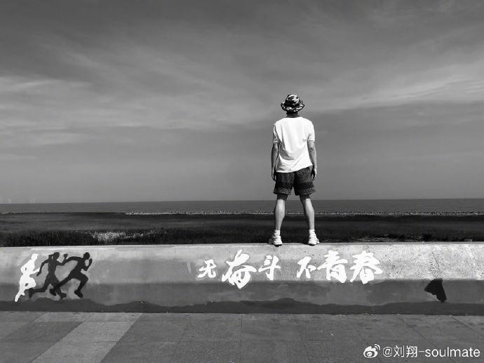 自由式滑雪发展历程