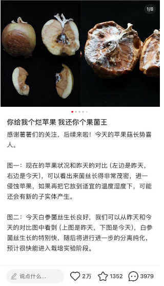 血赚一波！玩家花400块网购RX 480：竟还白捡一张RX 5700